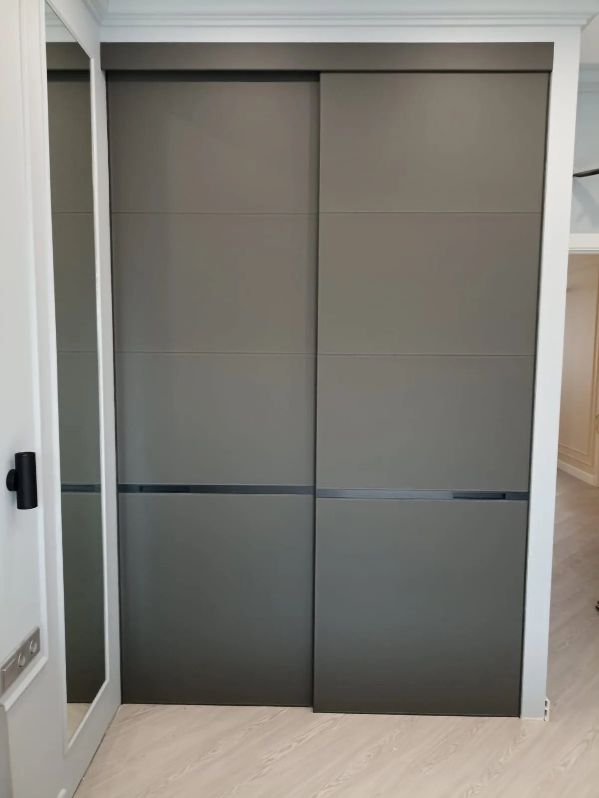 Двустворчатые раздвижные матовые двери Gintereo. Двери для зонирования и шкафов-купе. Купить под заказ в Москве, СПБ